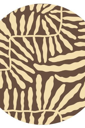 Coral Sands - Body Suit - Salted Surf Co.