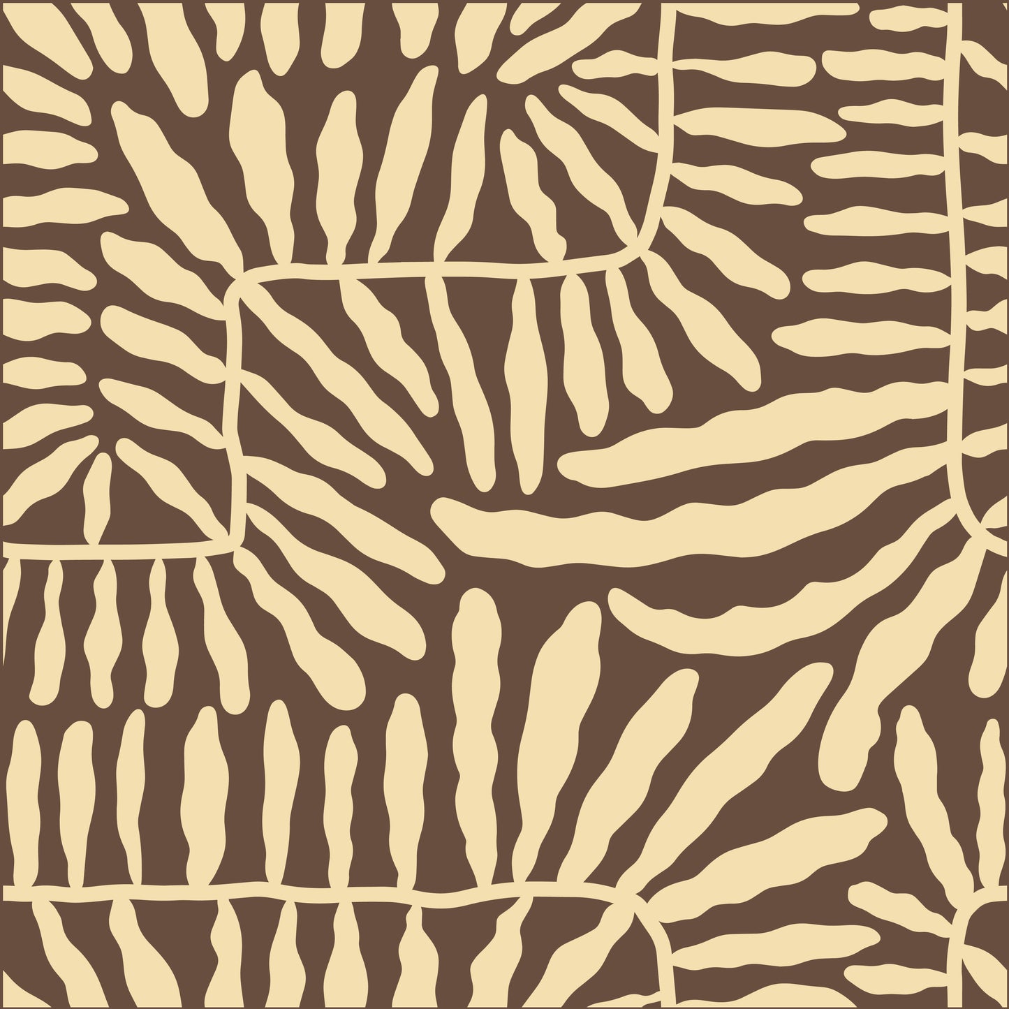 Surf Bra Coral Sands