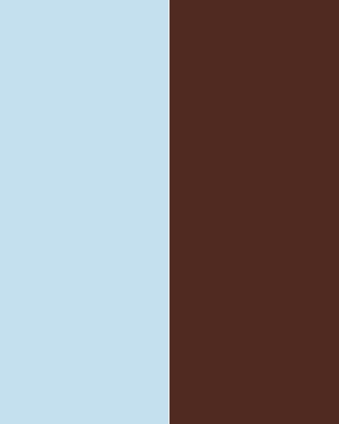 Micro Shorts Iced Mocha